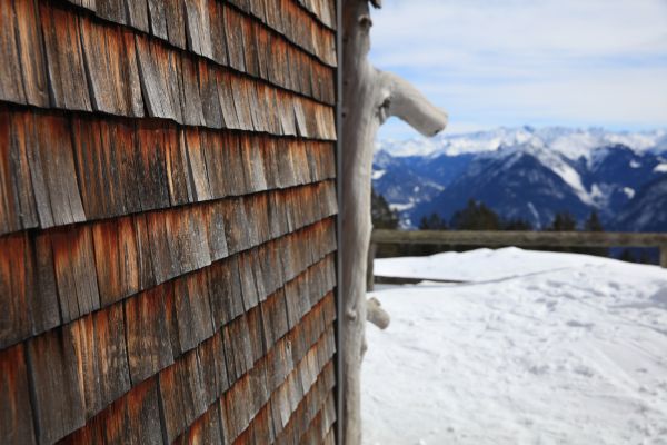 Cedar Siding Repair in Dublin
