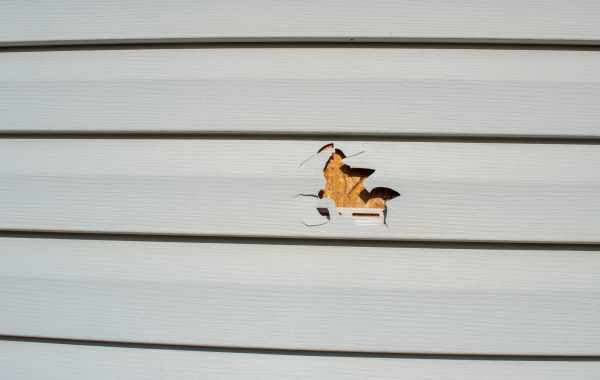 Siding Hole Repair in Dublin