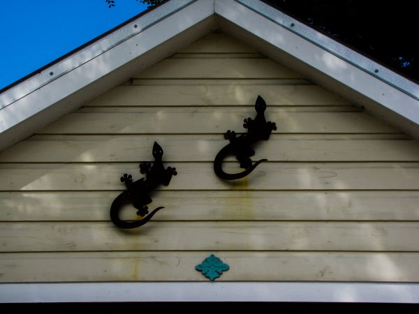 Shiplap Siding Installation in Dublin